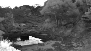 Still 1 from this detection
