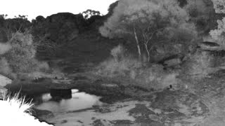 Still 2 from this detection