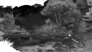 Still 2 from this detection