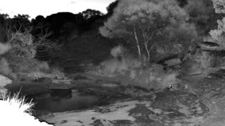 Still 3 from this detection