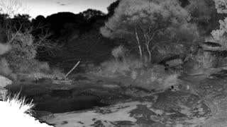 Still 1 from this detection