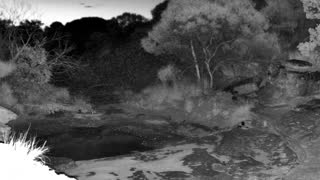 Still 2 from this detection