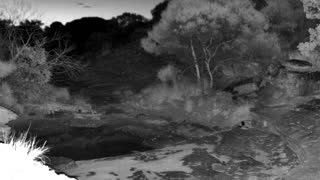 Still 3 from this detection