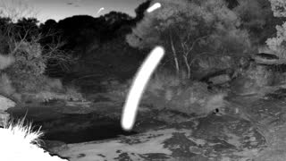 Still 1 from this detection