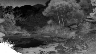 Still 2 from this detection