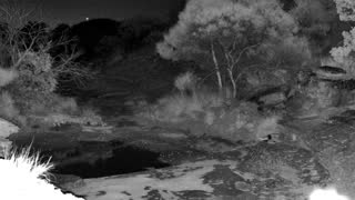 Still 2 from this detection