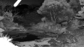 Still 2 from this detection