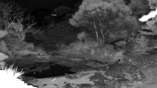 Still 1 from this detection