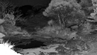 Still 1 from this detection