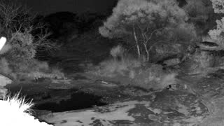 Still 2 from this detection