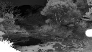 Still 2 from this detection