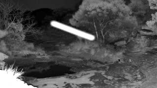 Still 1 from this detection