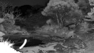 Still 2 from this detection