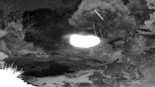 Still 1 from this detection