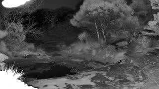 Still 2 from this detection
