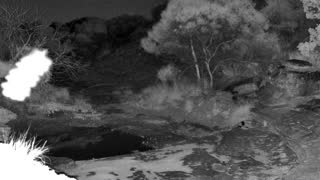 Still 1 from this detection