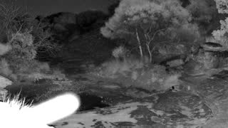 Still 1 from this detection