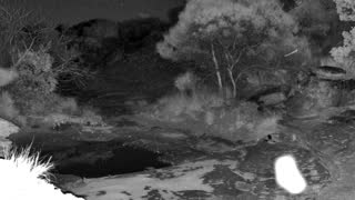 Still 1 from this detection