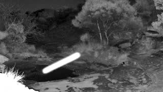 Still 1 from this detection