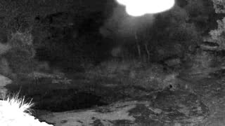 Still 1 from this detection