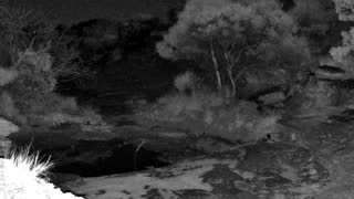Still 2 from this detection