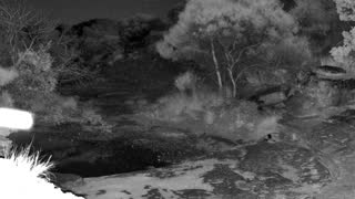 Still 2 from this detection
