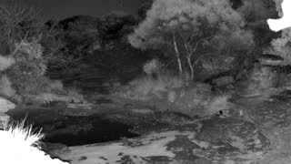 Still 1 from this detection