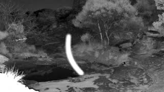 Still 1 from this detection