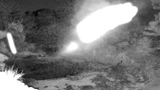 Still 1 from this detection