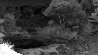 Still 2 from this detection
