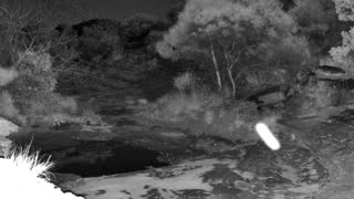 Still 2 from this detection