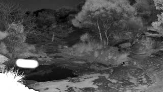 Still 2 from this detection