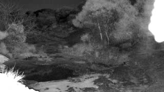 Still 1 from this detection