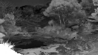 Still 2 from this detection