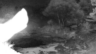 Still 2 from this detection