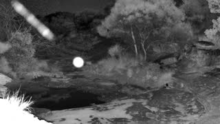 Still 1 from this detection