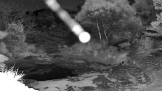 Still 2 from this detection