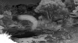 Still 2 from this detection