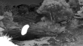Still 2 from this detection