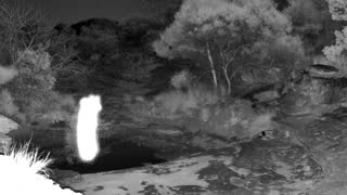 Still 2 from this detection