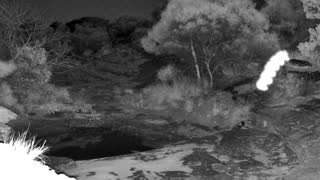 Still 1 from this detection