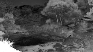 Still 1 from this detection