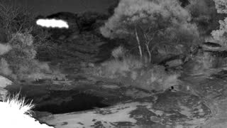 Still 2 from this detection
