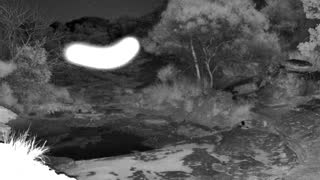Still 2 from this detection