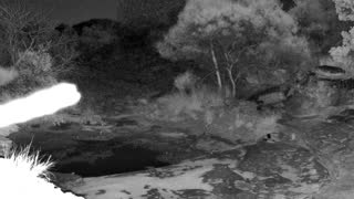 Still 2 from this detection