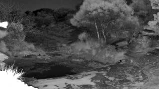 Still 1 from this detection