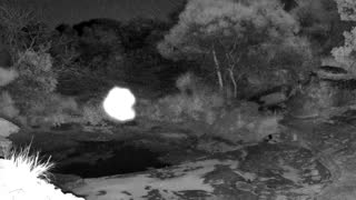 Still 2 from this detection