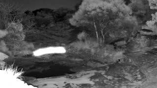 Still 1 from this detection