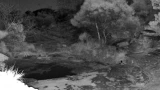 Still 2 from this detection
