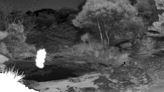Still 1 from this detection
